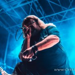 0161 Koza 022